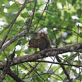 Costa Rica20150331-1744-0423